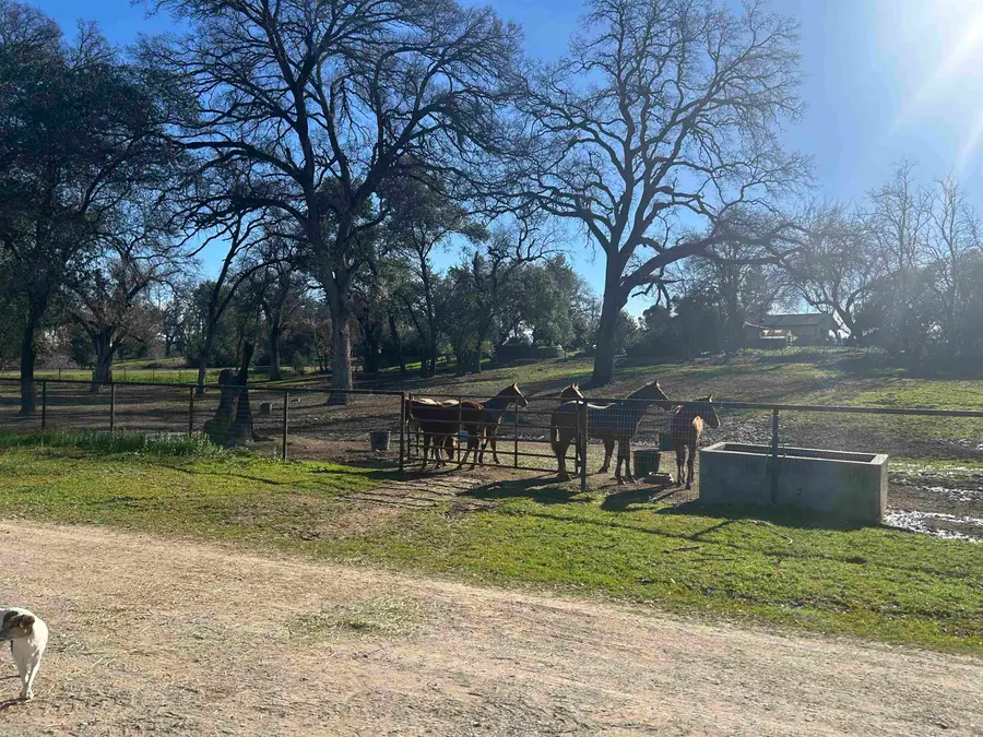 12585 Wilder Road, Red Bluff, CA 96080 - #3