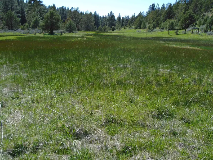 00 Mckenney Road, Alturas, CA 96101 - #2