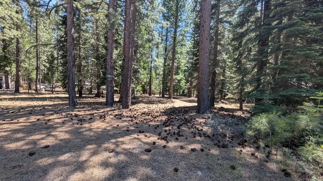 691-320 Lassen Way, Susanville, CA 96130 - #1