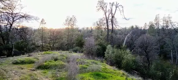 18675 Wilderness Drive, Cottonwood, CA 96022