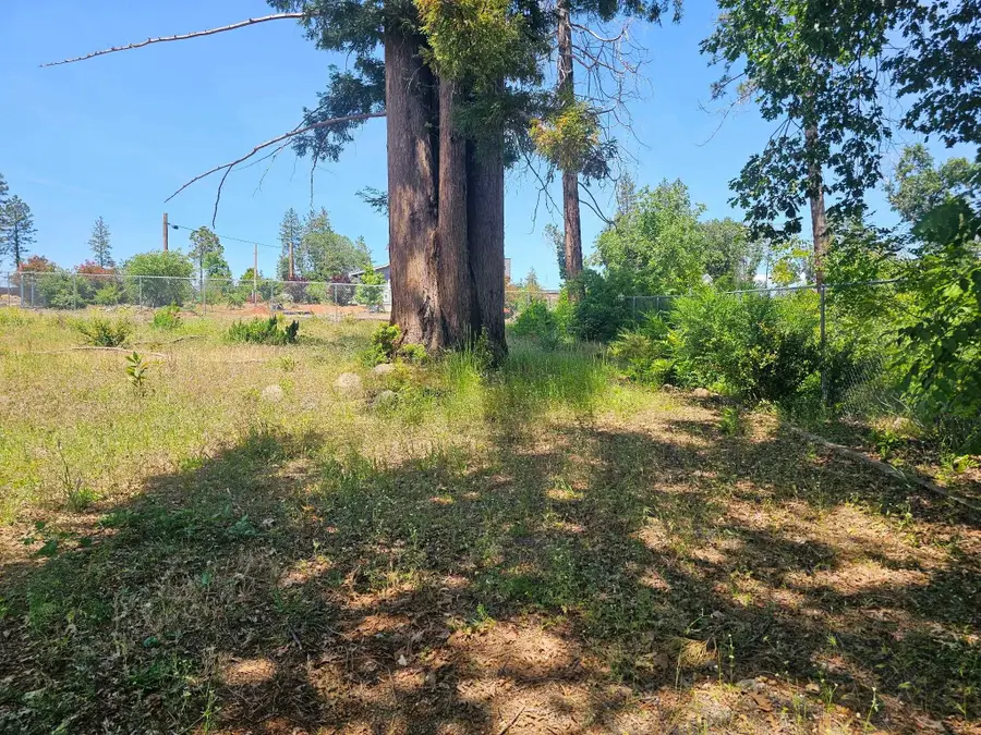 6241 Lind Ln, Paradise, CA 95969 - #3
