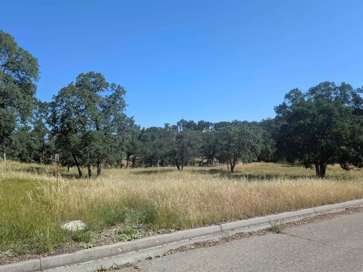 22580 Rio Robles Drive, Red Bluff, CA 96080 - #1