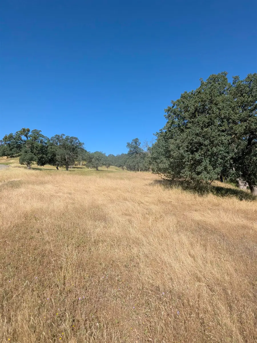 22580 Rio Robles Drive, Red Bluff, CA 96080 - #3