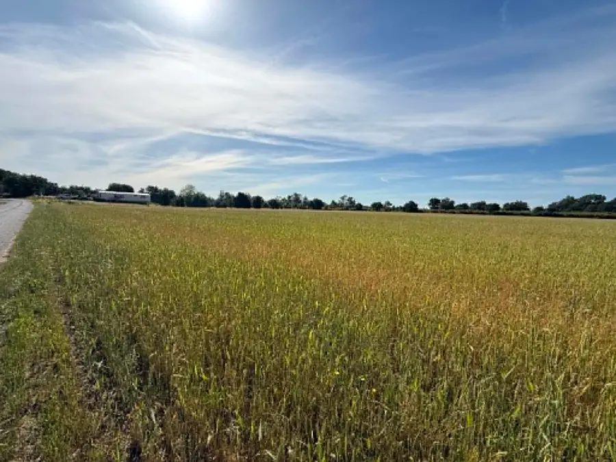 23675 Hamilton Avenue, Gerber, CA 96035 - #2