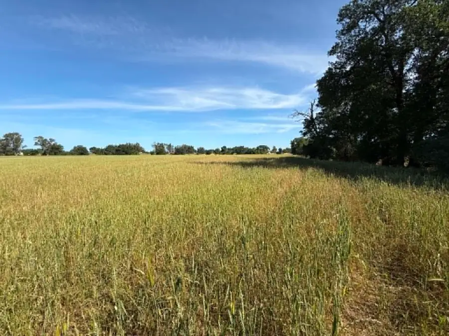 0 Hamilton Avenue, Gerber, CA 96035 - #3
