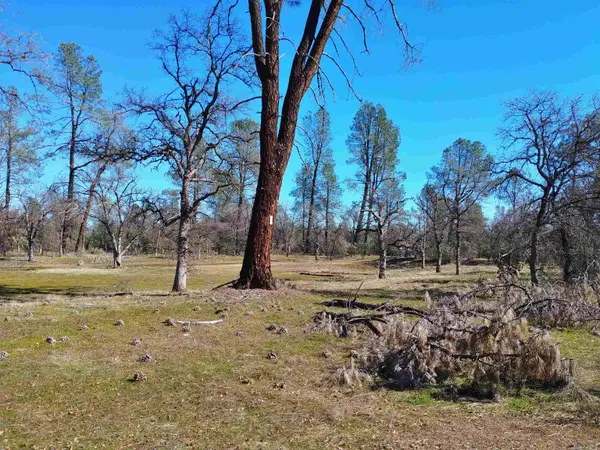 Palm Avenue, Happy Valley, CA 96007