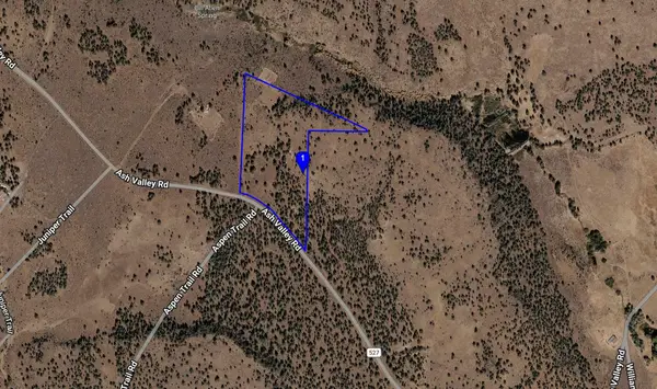 547-100 Ash Valley Road, Madeline, CA 96119