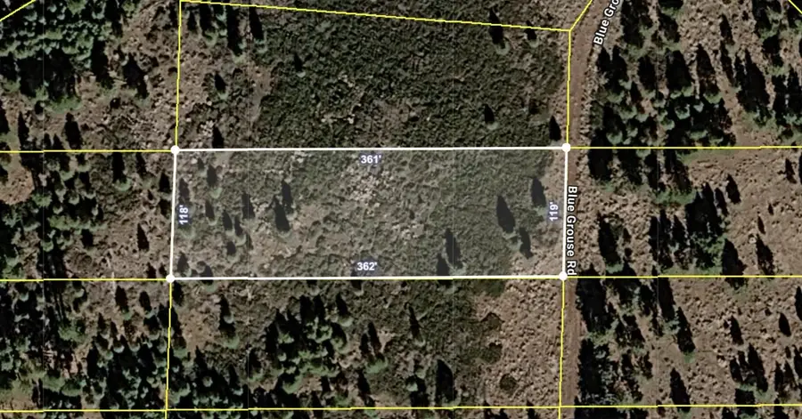 041-521-031 Blue Grouse Road, Alturas, CA 96101 - #3