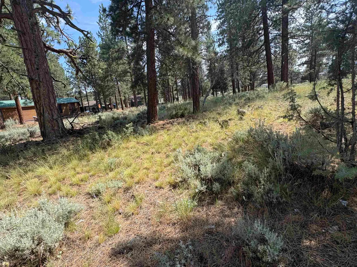 686-970 Hemlock Way, Susanville, CA 96130 - #1