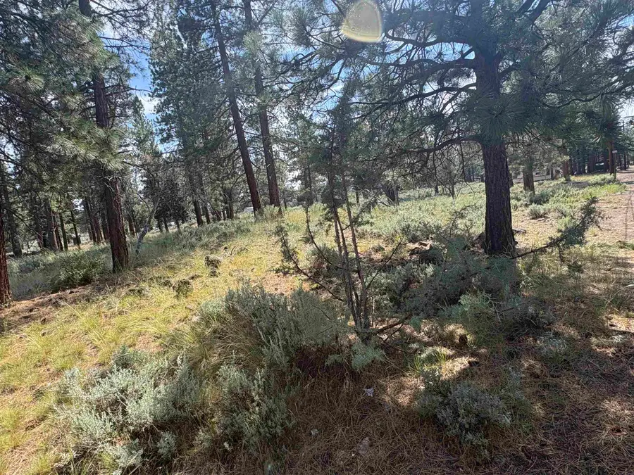 686-970 Hemlock Way, Susanville, CA 96130 - #2