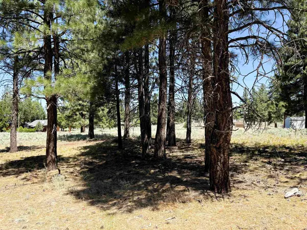 0 Maple Way, , CA 96130