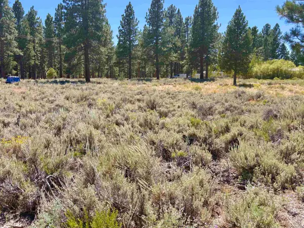 687-100 Juniper Way, Susanville, CA 96130