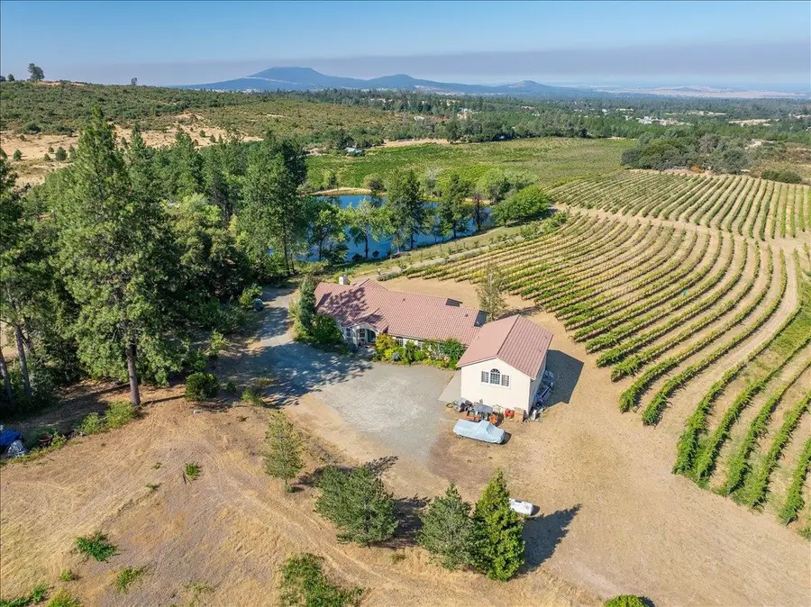 31630 Forward Road, Manton, CA 96059 - #2