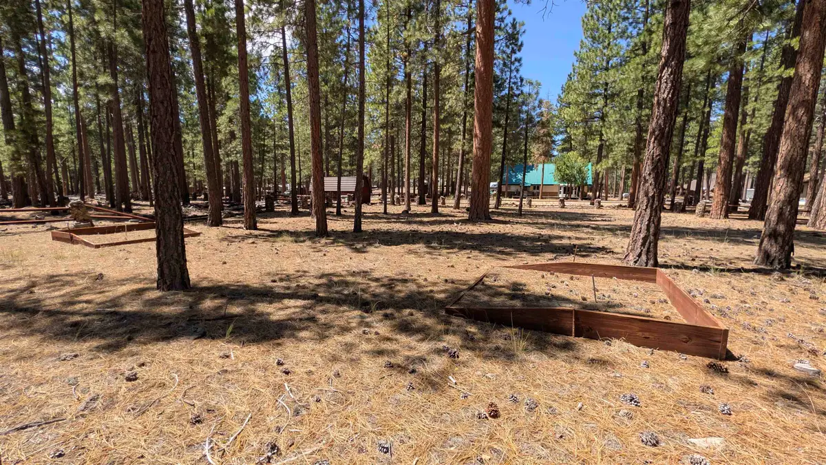 0 Tulip Way, Susanville, CA 96130 - #1