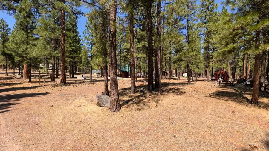 0 Tulip Way, Susanville, CA 96130 - #3