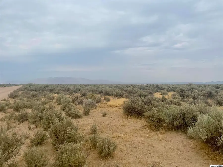 447-700 Sims Rd, Herlong, CA 96113 - #2