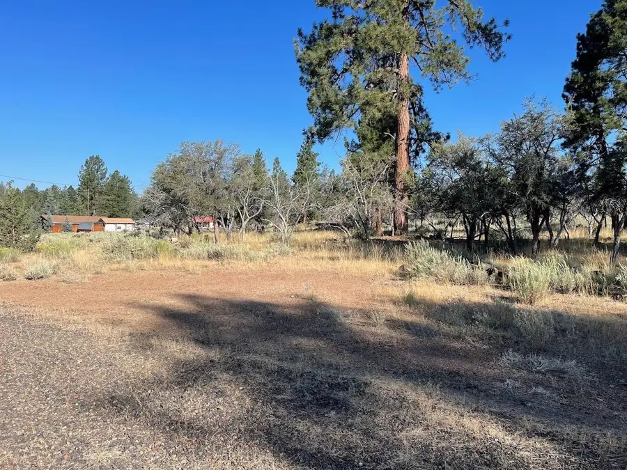 687-305 Juniper Way, Susanville, CA 96130 - #2
