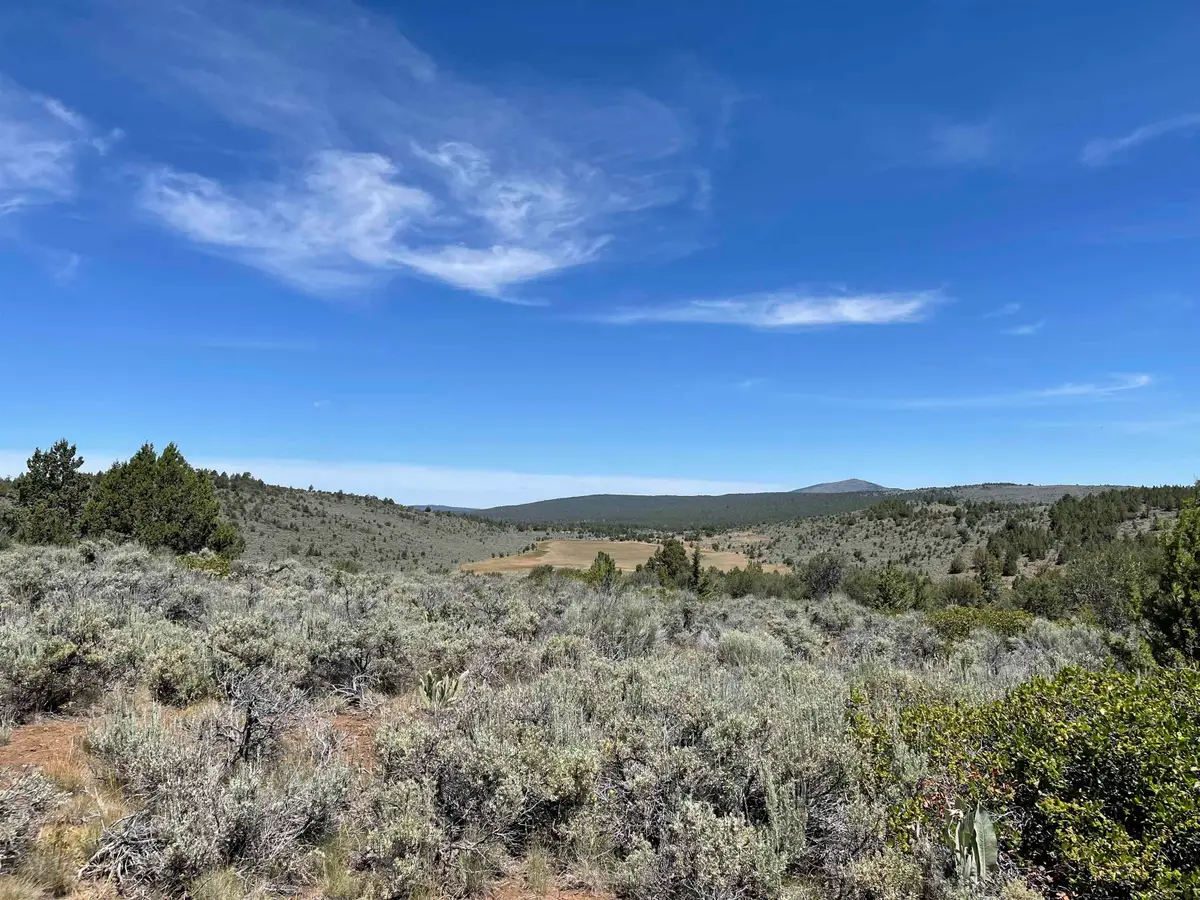 0 Mahogany Trail, Madeline, CA 96119 - #1