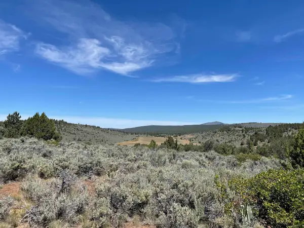 0 Mahogany Trail, Madeline, CA 96119