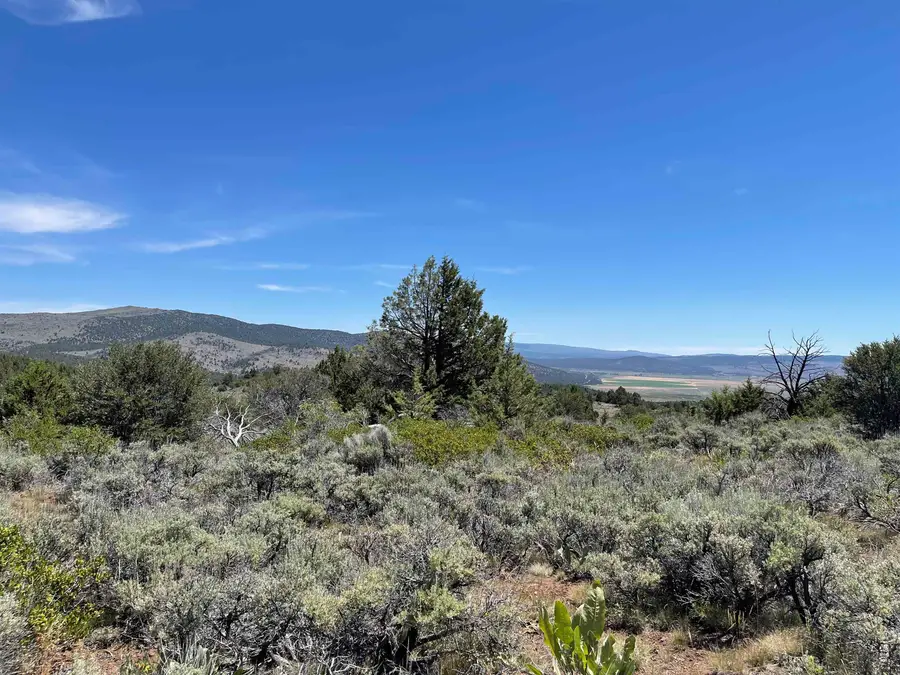 0 Mahogany Trail, Madeline, CA 96119 - #2