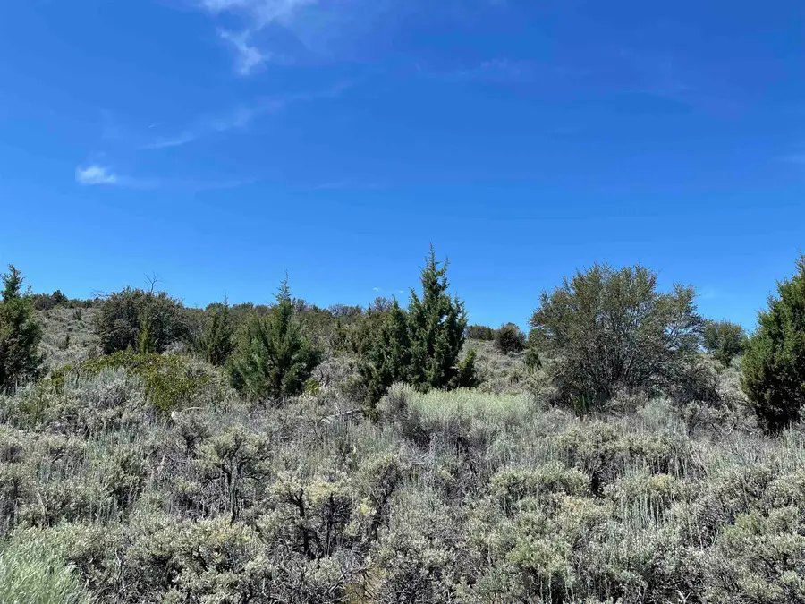0 Mahogany Trail, Madeline, CA 96119 - #3