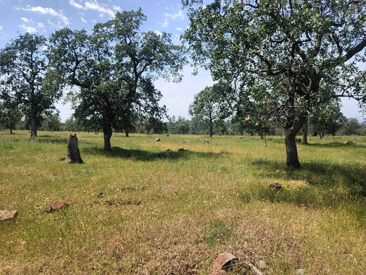 Wildcat Road, Anderson, CA 96007 - #1