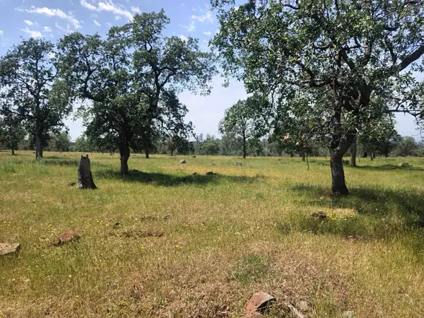 Wildcat Road, Anderson, CA 96007