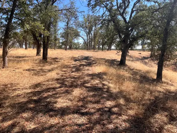 32 Mccoy Road, Red Bluff, CA 96080