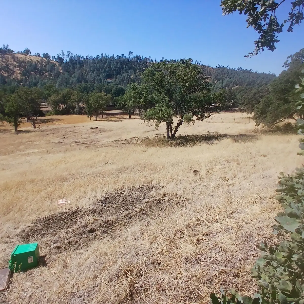 15757 Kern Drive, Corning, CA 96021 - #1