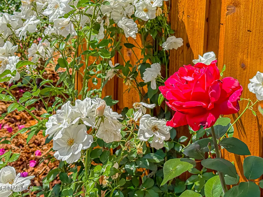 2153 Cook, Thousand Oaks, CA 91360 - #3