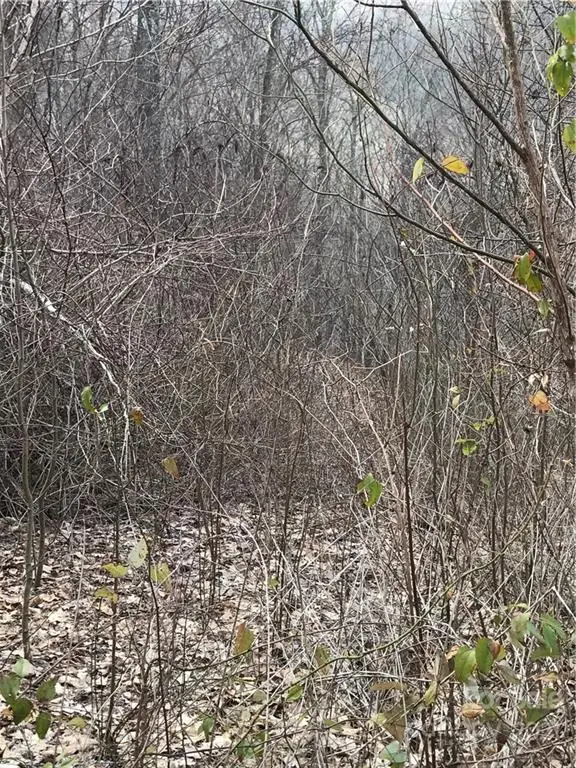 #3
