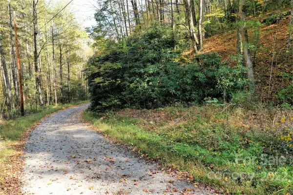 VL40 Mountain Forest Estates None #40, Sylva, NC 28779