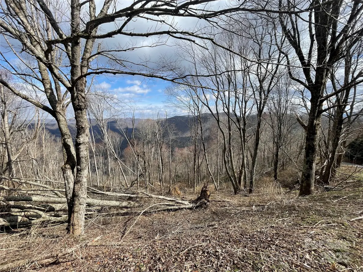 Lot #39 Ridge Top Circle, Clyde, NC 28721 - #1