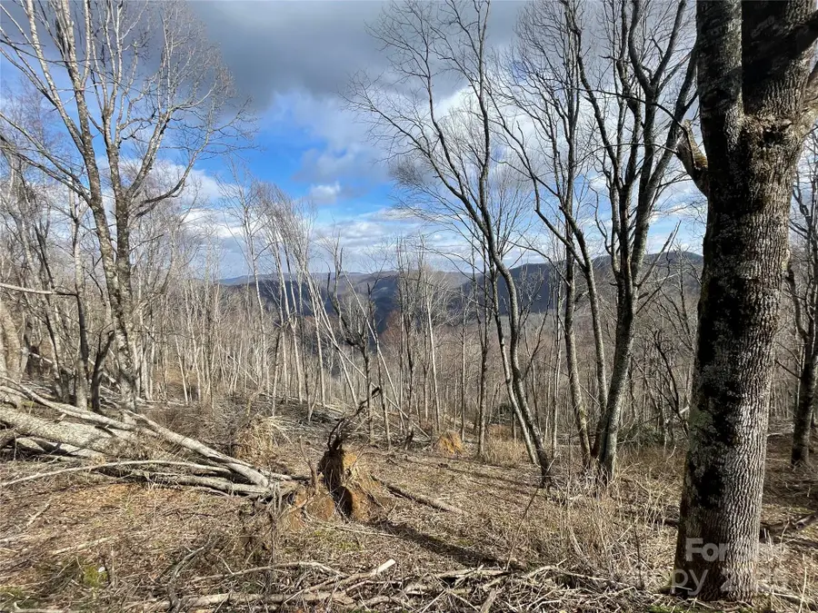 Lot #39 Ridge Top Circle, Clyde, NC 28721 - #3