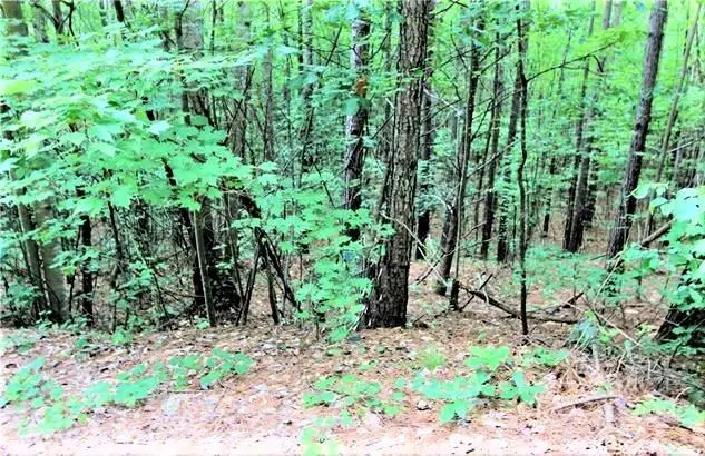 0 Chasewood Drive #8, Rutherfordton, NC 28139 - #2