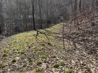 #2