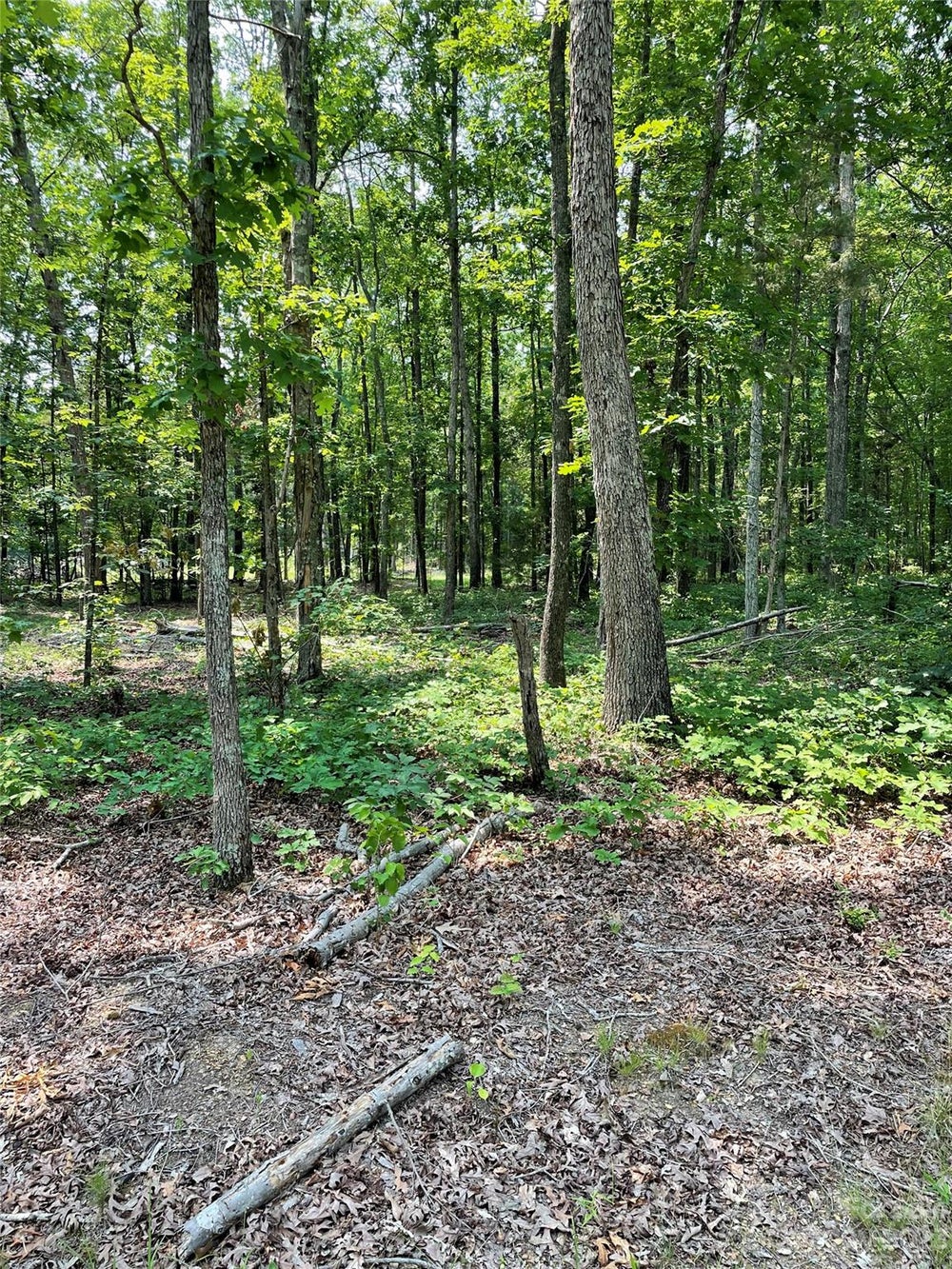 2450 Dutch Road, Mount Pleasant, NC 28124 BHGRE