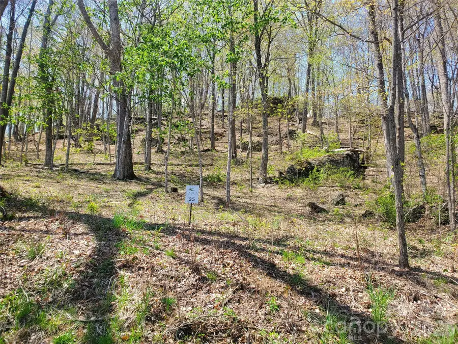 Lot 35 Soothing Waters Drive #35, Todd, NC 28684 - #2