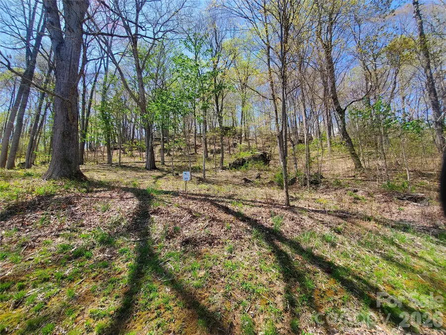 Lot 35 Soothing Waters Drive #35, Todd, NC 28684 - #3