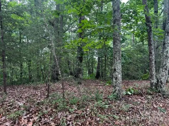 #3