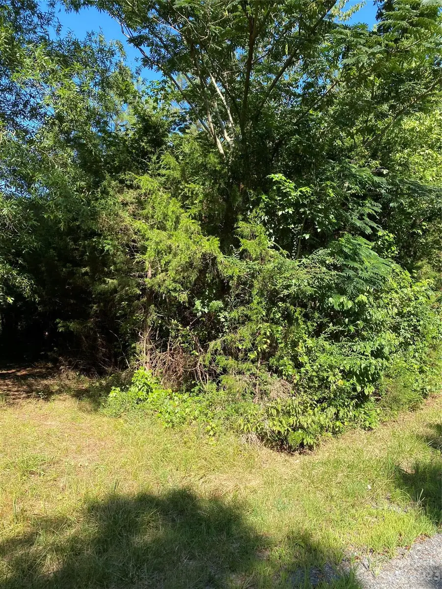 185 Crosby Lane, Catawba, SC 29704 - #2