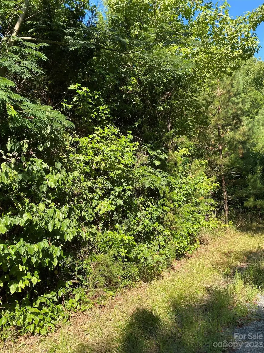 185 Crosby Lane, Catawba, SC 29704 - #3