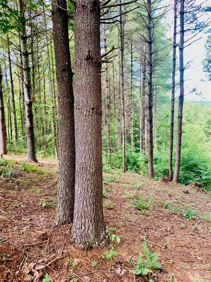 1.34 acres, Lot 234 Waterfall Lane #234, Lenoir, NC 28645 - #2