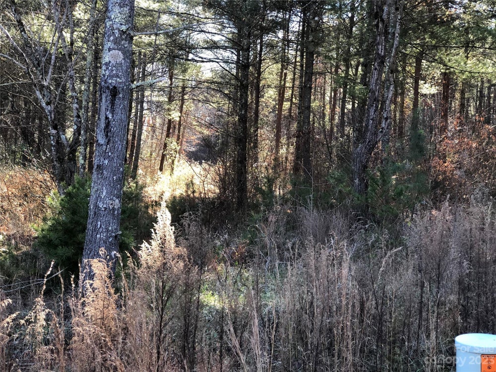 2102 Waterside Boulevard 119, Valdese, NC 28690 BHGRE