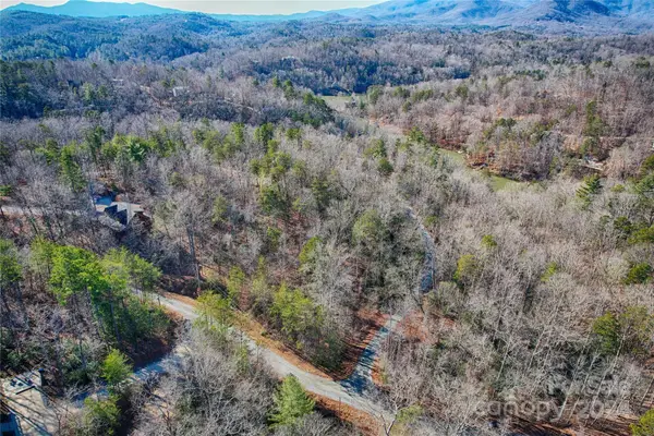 000 Bear Run Avenue #175, Lake Lure, NC 28746