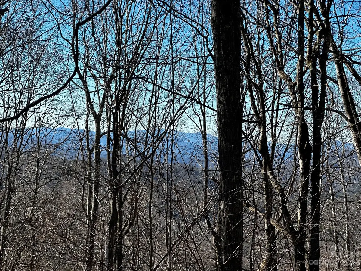 0 Wild Turkey Road #21, Bakersville, NC 28705 - Image #1