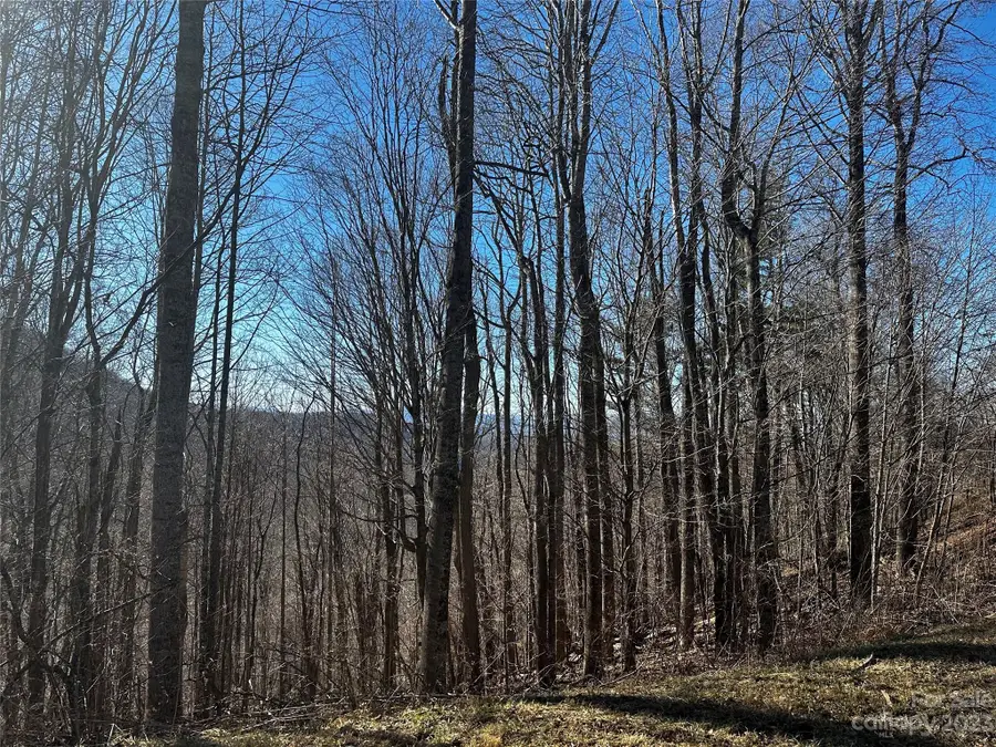 0 Wild Turkey Road #21, Bakersville, NC 28705 - Image #2