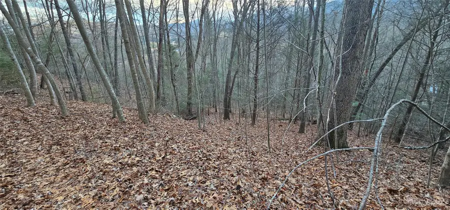 #3