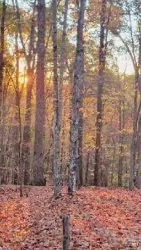 V/L Trellis Drive #117, Dysartsville, NC 28761 - Image #1