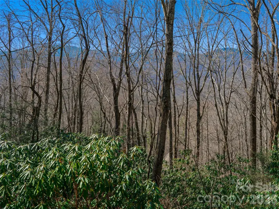 000 Big Ridge Road #62 & 63, Burnsville, NC 28714 - #3